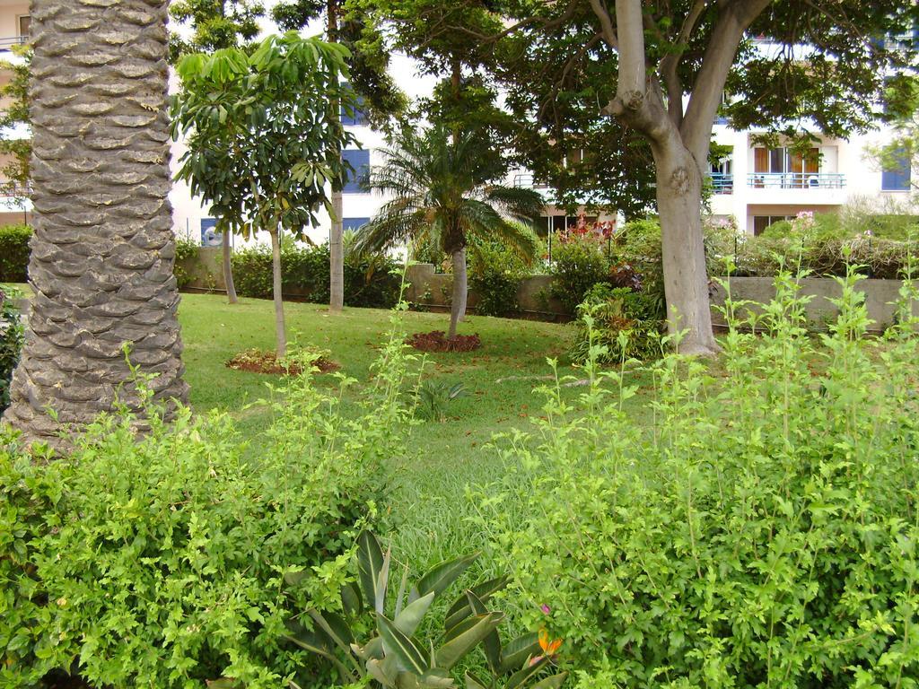 Casa Branca Apartments By Wanderlust Madeira, Vacation Rentals Funchal  Pokoj fotografie