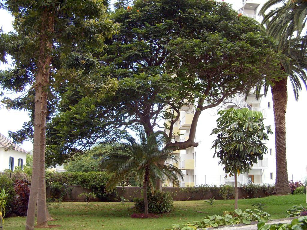 Casa Branca Apartments By Wanderlust Madeira, Vacation Rentals Funchal  Exteriér fotografie